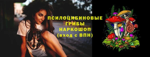 твердый Гусь-Хрустальный