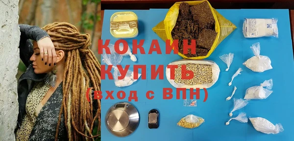 твердый Гусь-Хрустальный