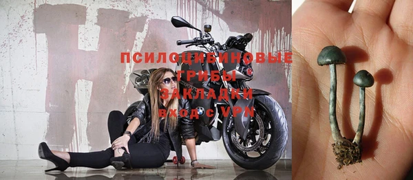 герыч Дмитриев