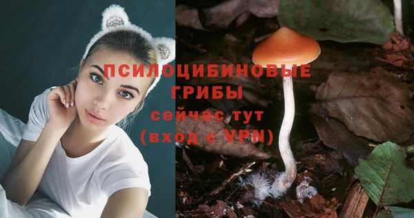 герыч Дмитриев