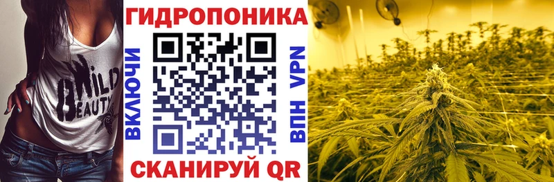 Конопля OG Kush  Клинцы 
